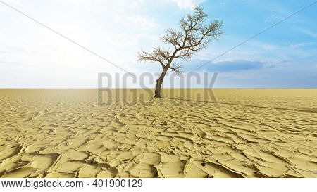 Concept or conceptual desert landscape with a parched tree as a metaphor for global warming and climate change. A warning for the need to protect our environment and future 3d illustration