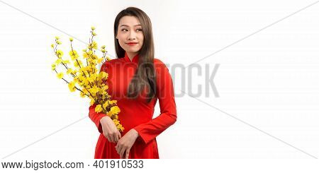 Vietnamese Lunar New Year. Women Wear Vietnam Tradition Ao Dai With Hoa Mai Tree (ochna Integerrima)