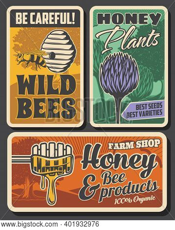 Beekeeping Farm And Honey Production Retro Posters. Bees Hive Or Nest, Clover Flowers And Tree, Wood