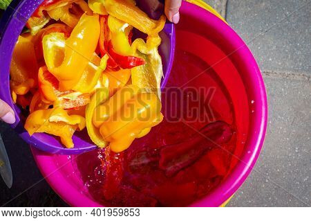 Hands Of A Young Woman Empty Sliced Colorful Slices Of Ripe Bell Pepper Into A Food Bucket. View Fro
