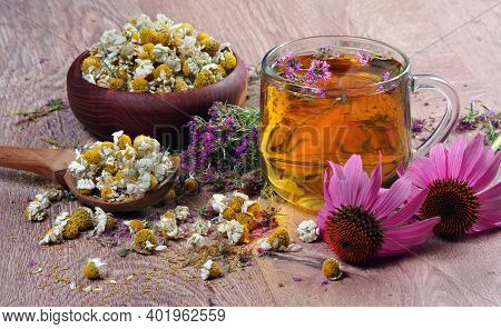 Summer Medical Herbs. Cup Of Thyme Tea, Dried Chamomile, Immortelle Flowers And Echinacea Flowers On