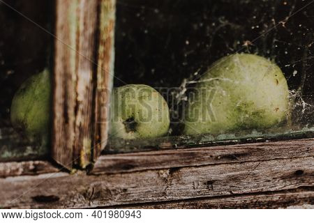 Green Pears At Wooden Window Sill Of Old Village Abandoned House With Spiderweb, Old Poor People Hom