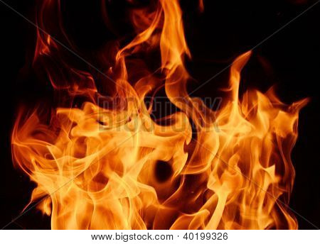 fuego