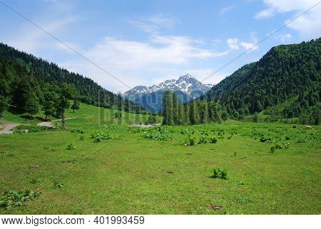 Abkhazia.a Clearing High In The Mountains, The Snow-capped Peaks Of The Mountains.