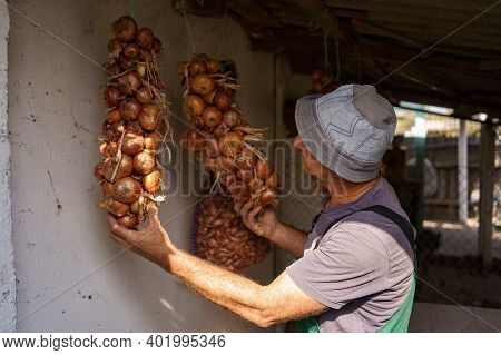 Man Inspercting Long Bunches Of Onions Suspended From The Ceiling. Agricultural Products, Farming, G