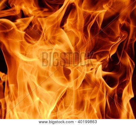 fuego