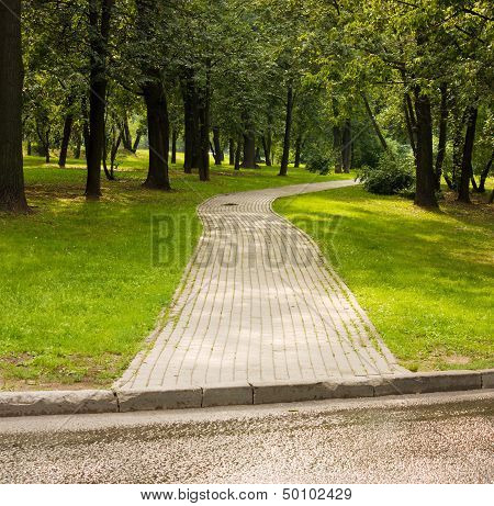 Causeway In Shady Park