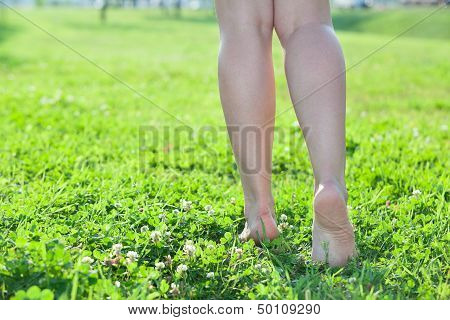 Walking Barefoot On Green Grass Women Legs. Copyspace