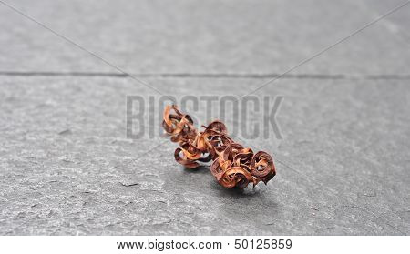 Dried Fruit Pods