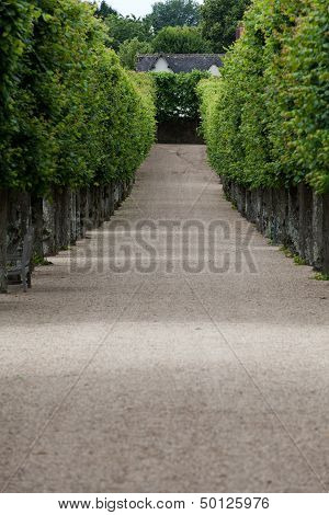 Splendid decorative gardens at castles in France