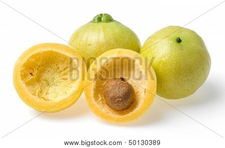 Syzygium Jambos Rose Apple