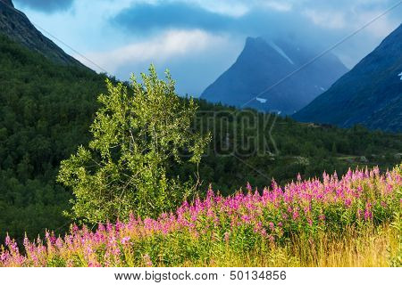 mountains in Norway, Jotunheimen National Park