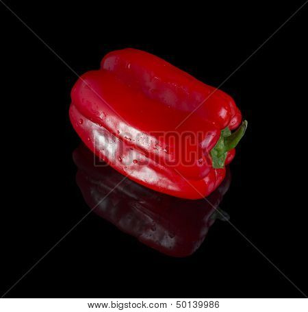 Bell Pepper.
