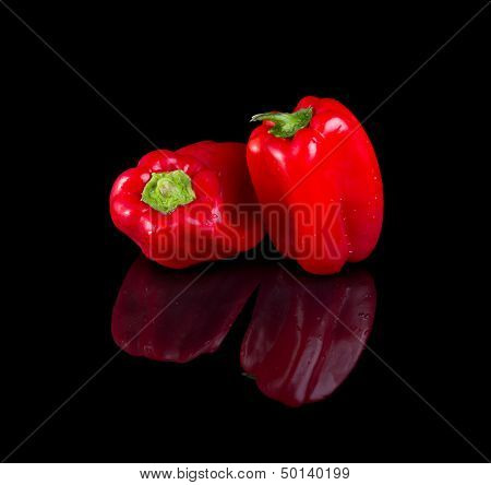 Bell Pepper.