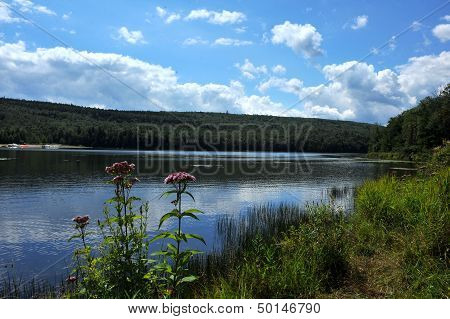 View to the mountain lake upstate NY at the summer time