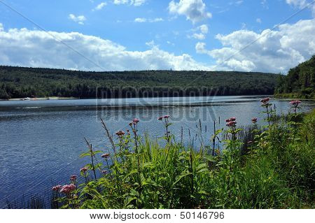 View to the mountain lake upstate NY at the summer time