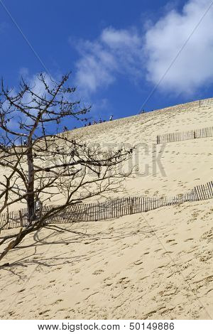 PYLA SUR MER, FRANCE - AUGUST 8: People visiting the Famous dune of Pyla, the highest sand dune in Europe, on August 8, 2012 in Pyla Sur Mer, France.