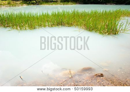 The Unique Turbid Lake