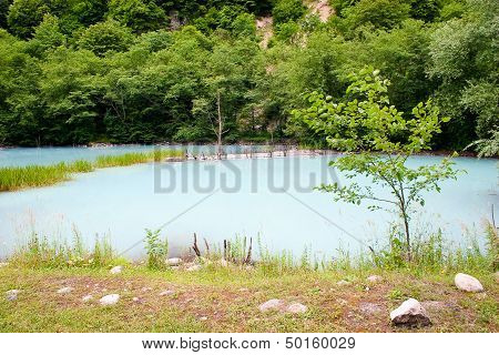 The Unique Turbid Lake
