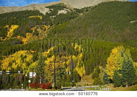Colorado Aspen Hills