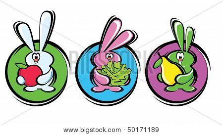 rabbits with healthy food