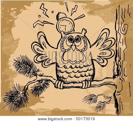 Frightened owl with alarm on pine branch