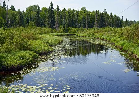 Minnesota Wilderness