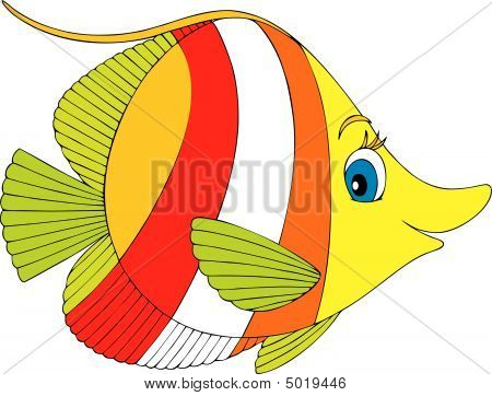Korallenfische