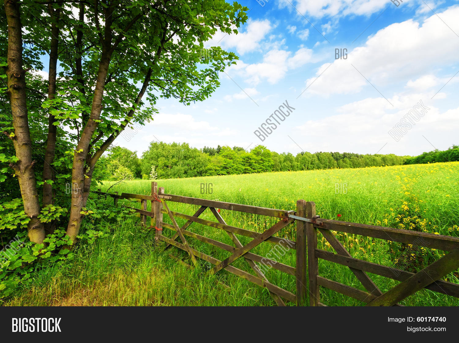 Fence Green Field Image & Photo (Free Trial) Bigstock