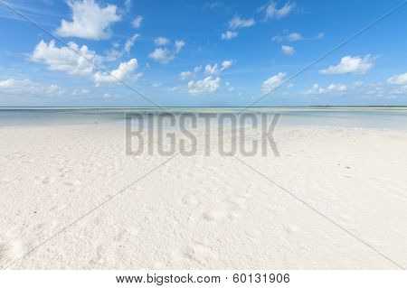 White Tropical Beach