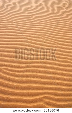 Red Sand Dunes In Vietnam