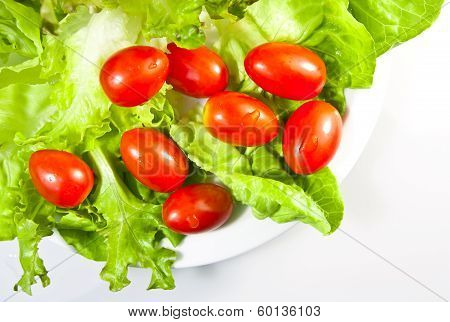 Salad on a white background
