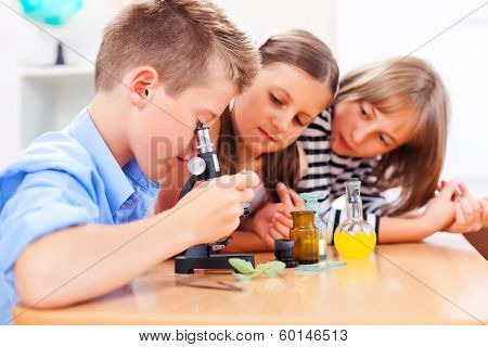 Looking At Plants Through Microscope