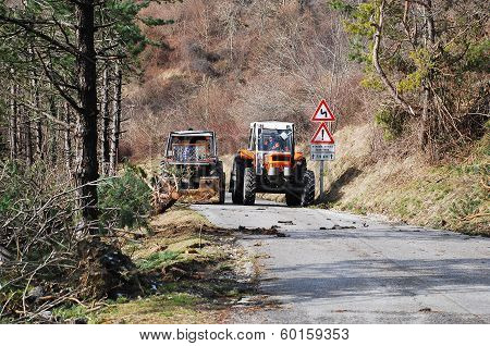 Tractors Clearing Rime Damaged Trees