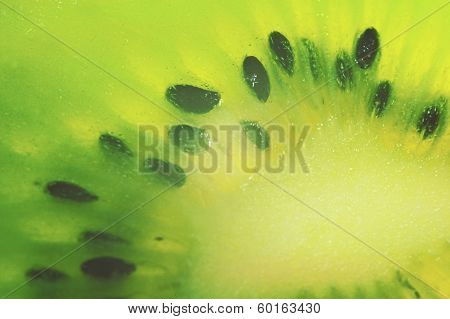 Fruit of Actinidia.