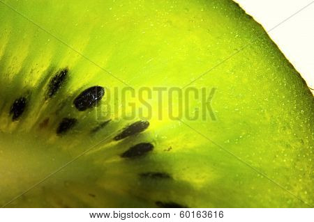 Fruit of Actinidia.