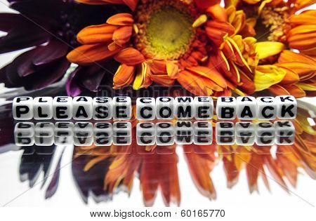Please Come Back With Flowers