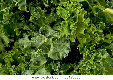 Kale Greens