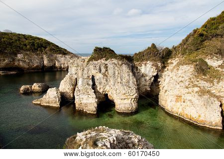 Blacksea Coast Of Turkey