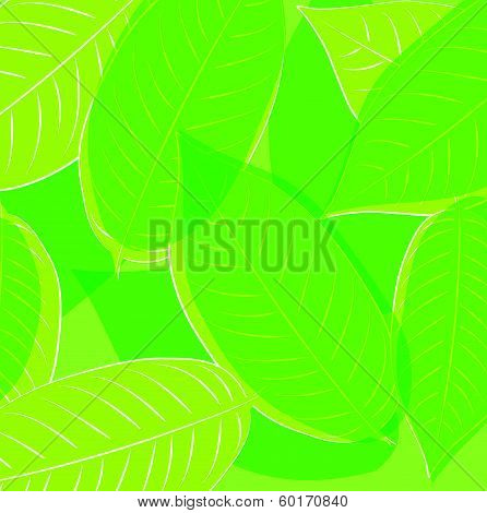 Layered leaves