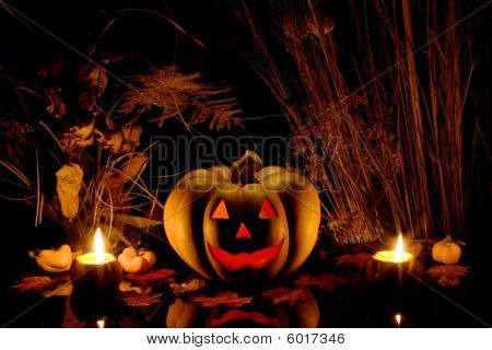 Halloween Pumpkin And Dry Plants.