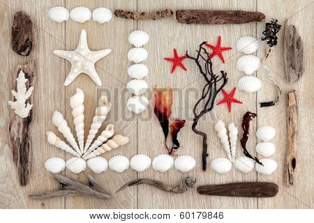Sea shell, driftwood and seaweed abstract design over old oak background.