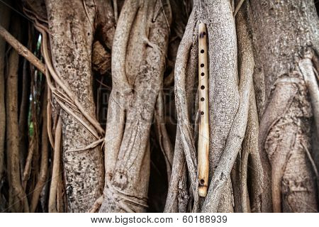 Bamboo Flute On Banyan Tree