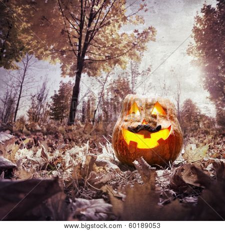 Halloween Pumpkin In The Park