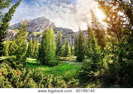 Mountain Landscape
