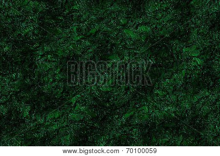 Abstract Art Dark Forest Background