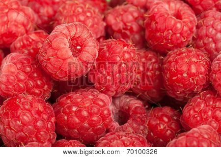 Raspberry background