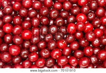 Background From Cherries