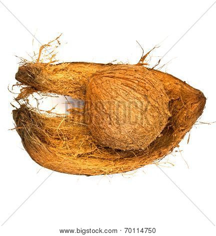 Coconut Shell And Coconut Spathe On White