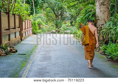 Monk Walking